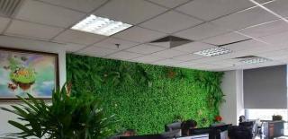 5 mẫu thảm cỏ nhân tạo treo tường đẹp